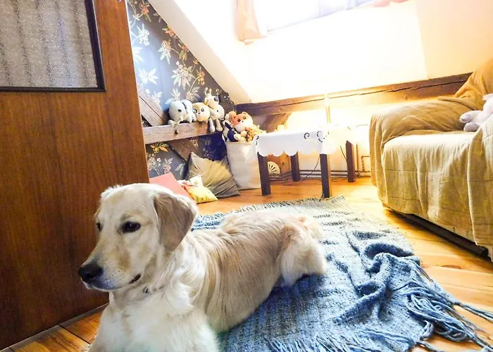 Stary Dom, A Może 3*