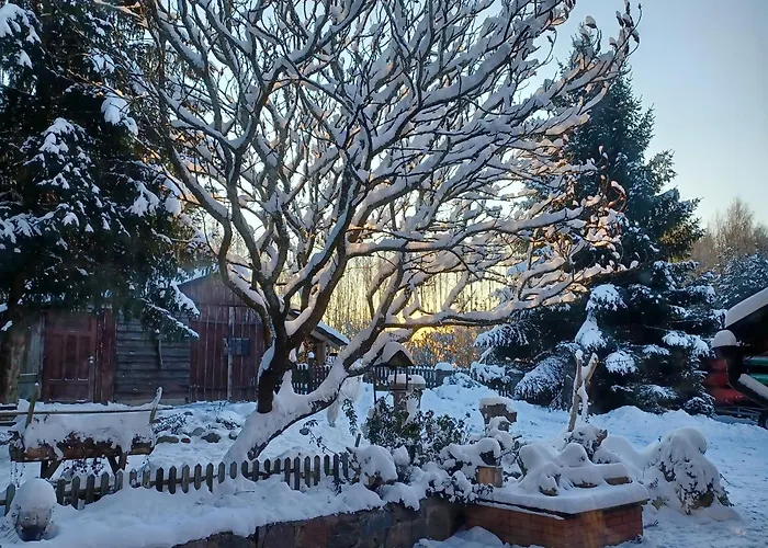 Stary Dom, A Może 3*